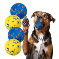 Indestructible, Non-Abrasive Rubber Fetch Ball
